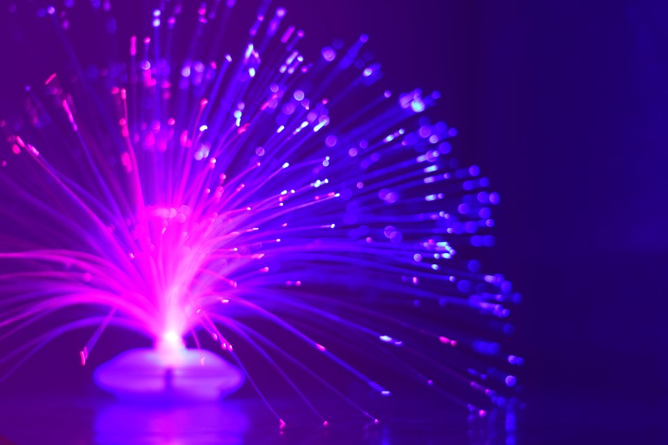 Beautiful Blur Close-up