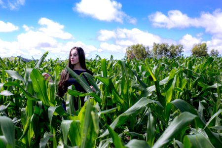 Agriculture Clouds Cropland