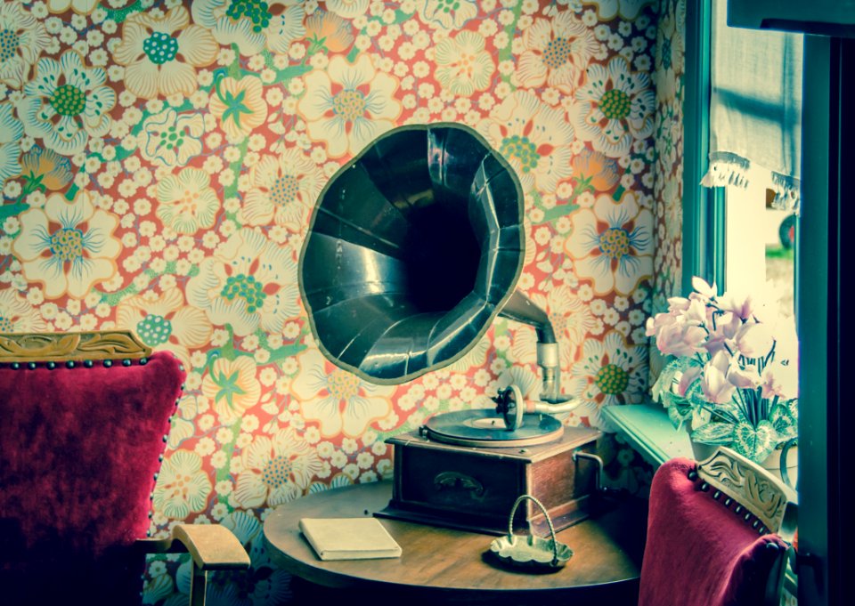 Brown And Black Gramophone