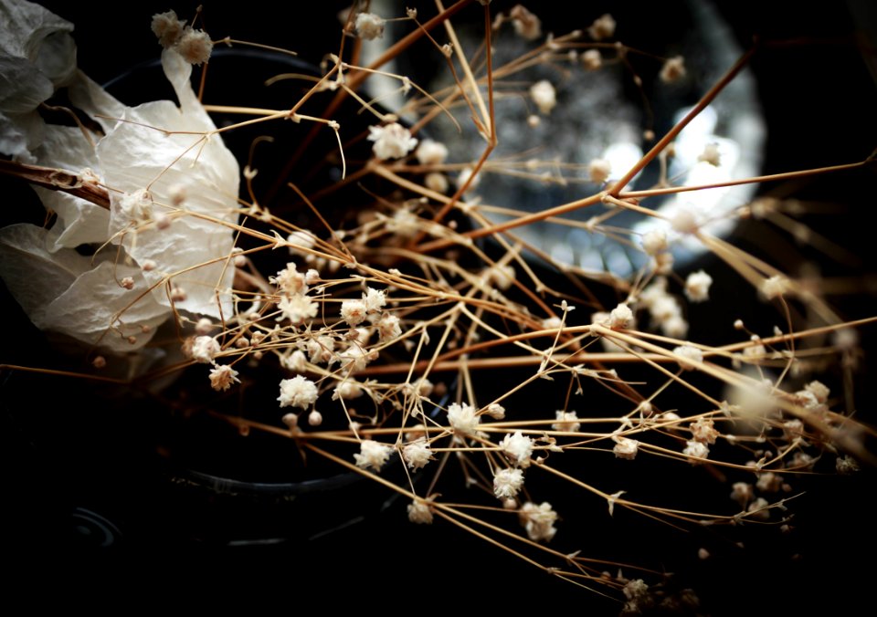 Artificial Flowers Blur