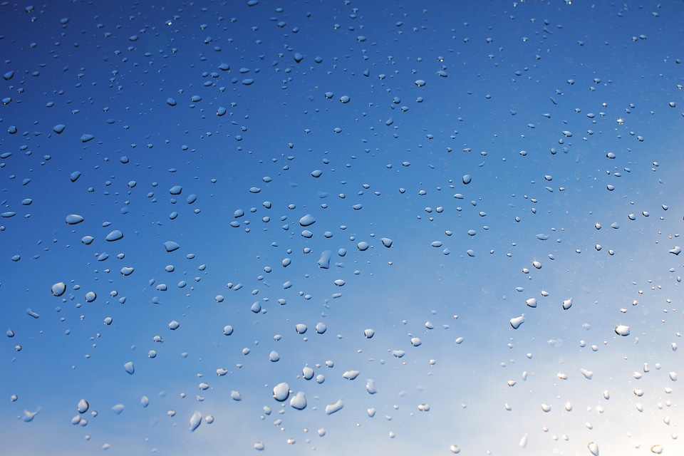 Drop of rain drops nature