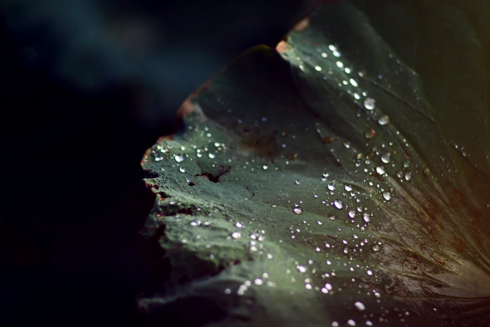 Abstract Art Background