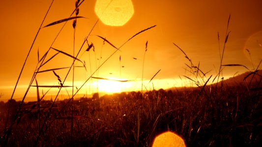 Agriculture Countryside Crop