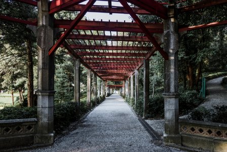 Architecture Columns Daylight photo