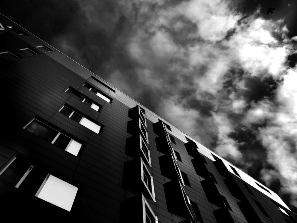 Architecture Black And