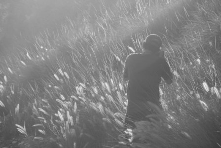 Man Taking Photo On Grass Field In Greyscale Photography photo