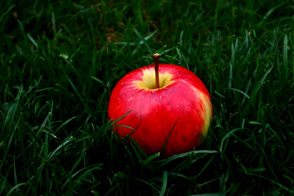 Apple Delicious Food