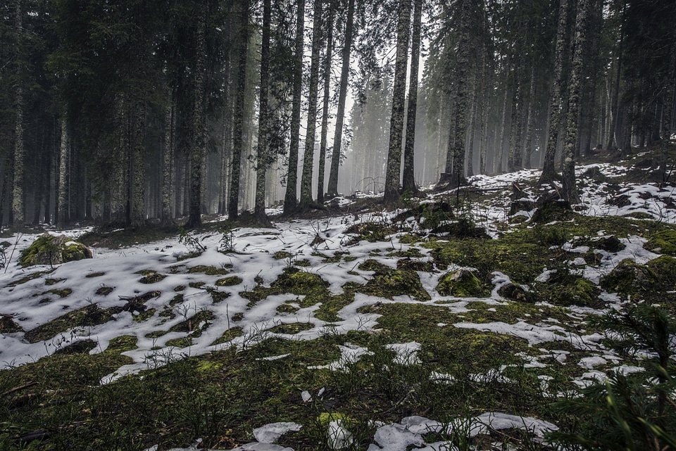 Freezing landscape nature