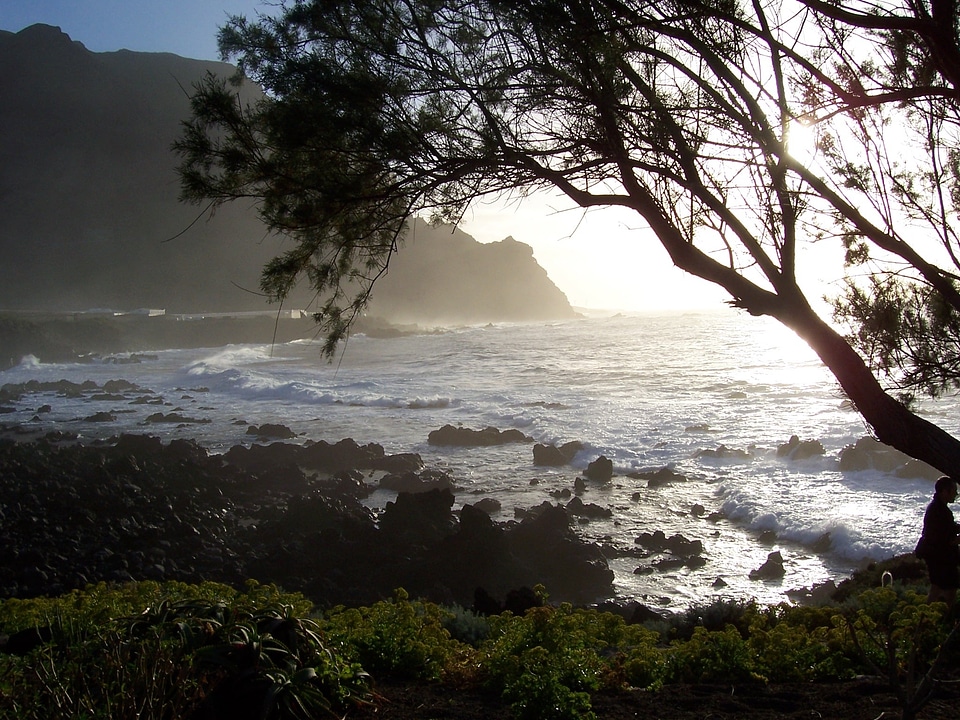 Canary islands water ocean