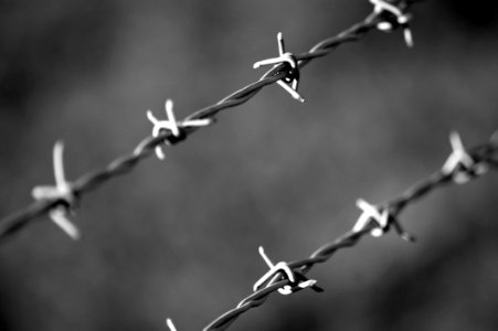 Barbed Wire Black-and-white