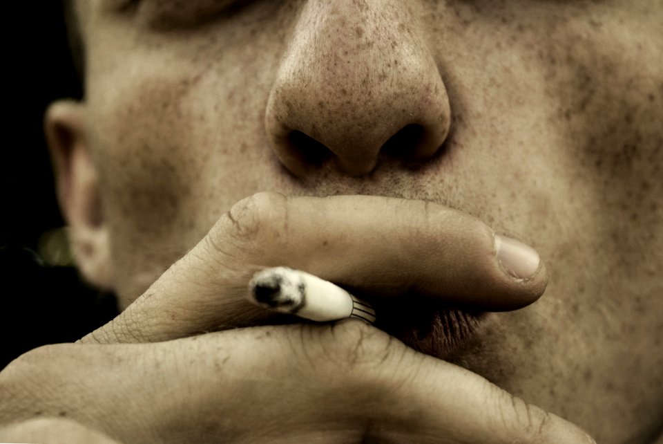Cigar Cigarette Close-up