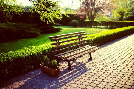 Bench In The Garden