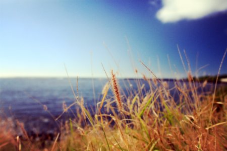 Beach Coast Depth
