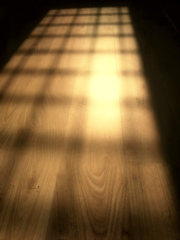 Floor Shadow Softwood
