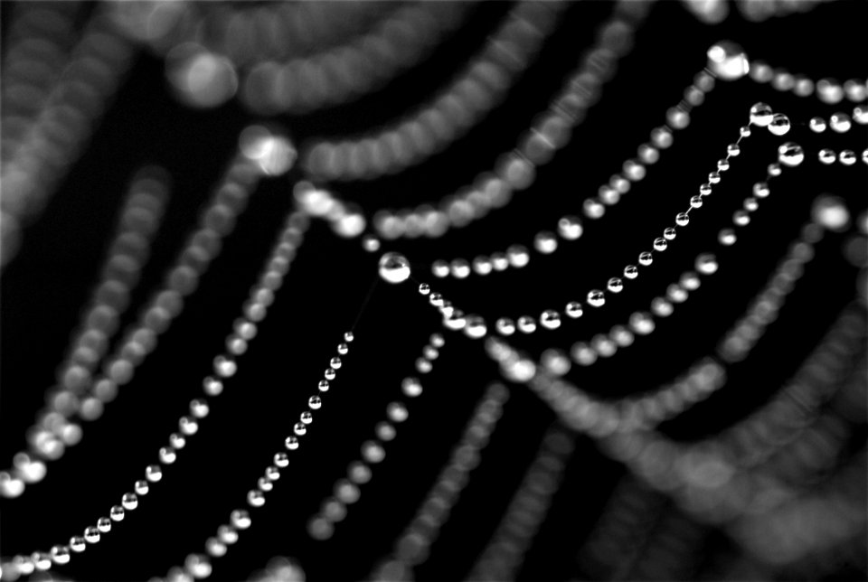 Blur Close-up Crystal