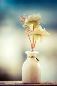 Decor Decoration Depth