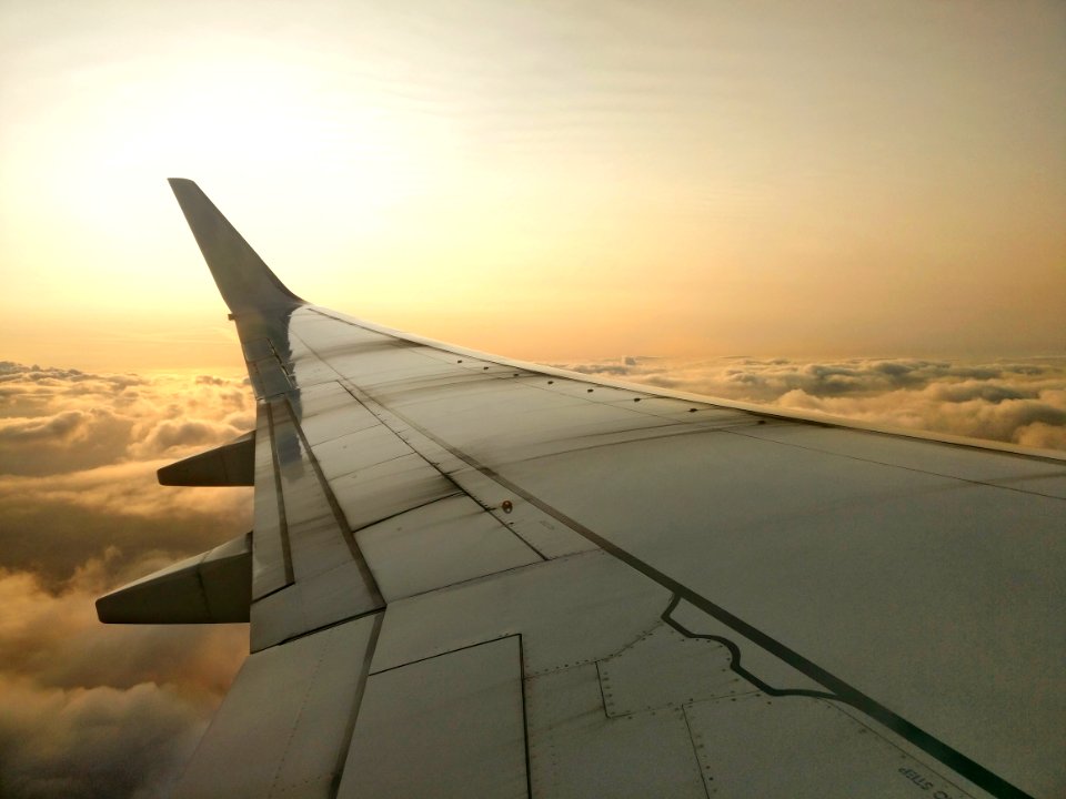 Aeroplane Aircraft Wing