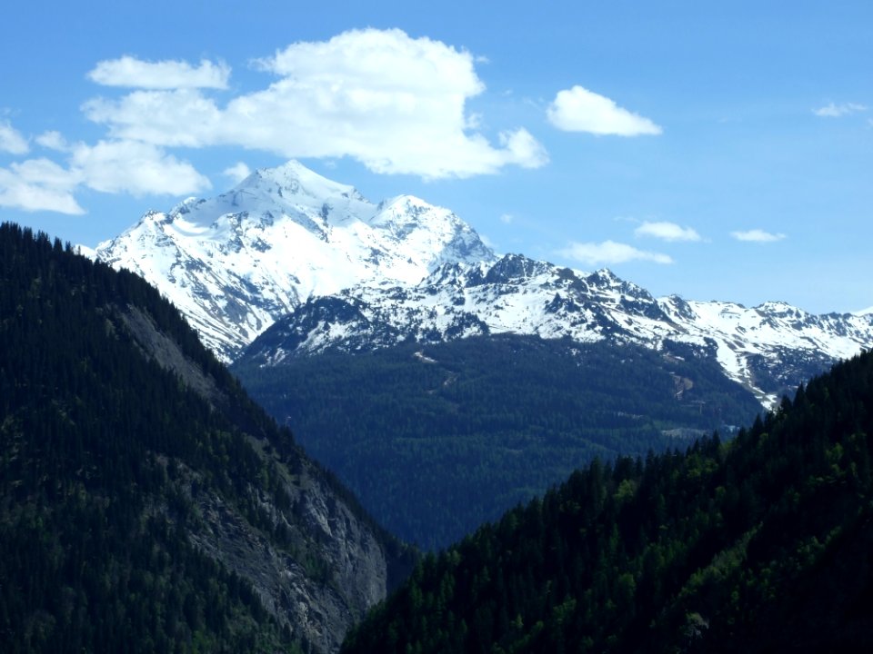 Clouds Conifers Environment photo