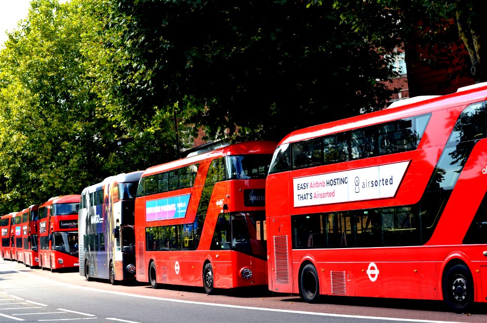 Asphalt Buses City