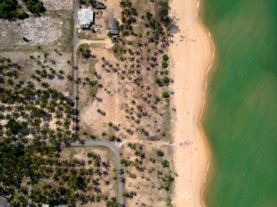 Aerial Photography Of Seashore With Coconut Trees