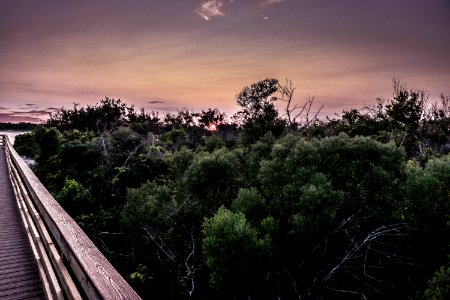 Dawn Daylight Dusk