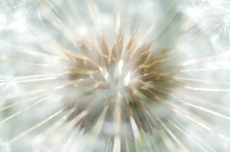 Beautiful Blurry Bright