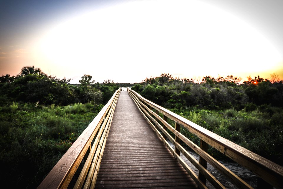 Bridge Dawn Daylight