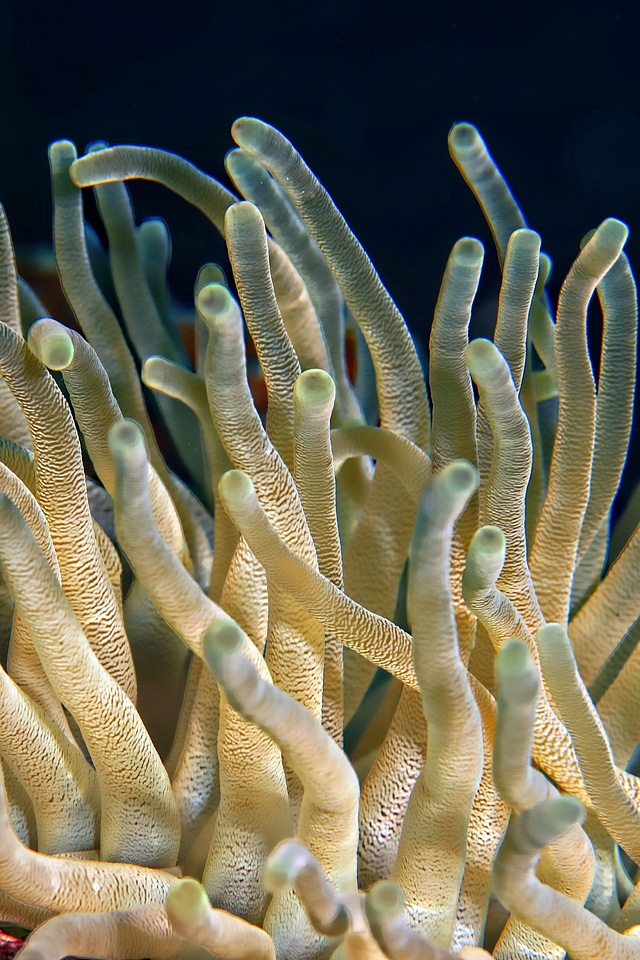 Ocean sea close-up
