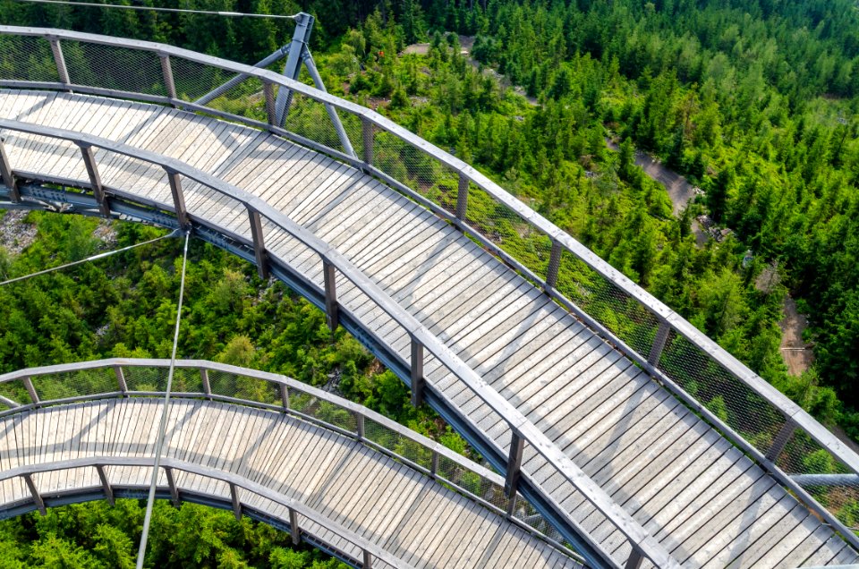 Bridge Conifers Environment