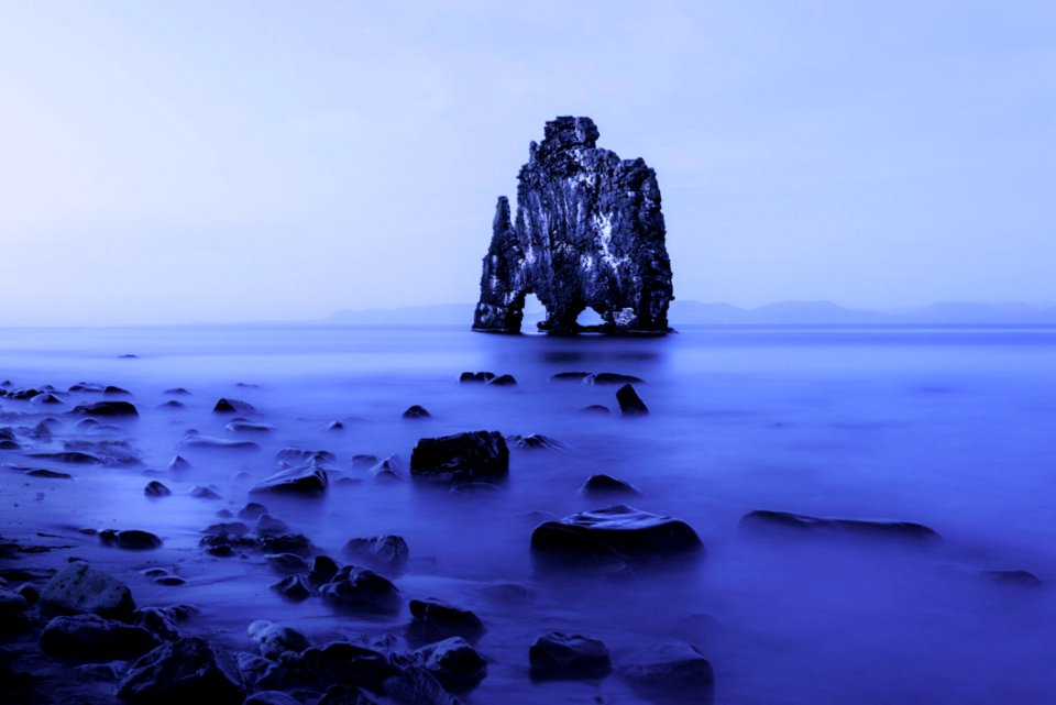 Adventure Coast Foggy