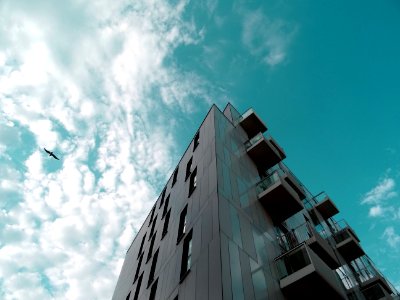 Architecture Balconies Bird