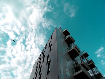 Architecture Balconies Bird photo