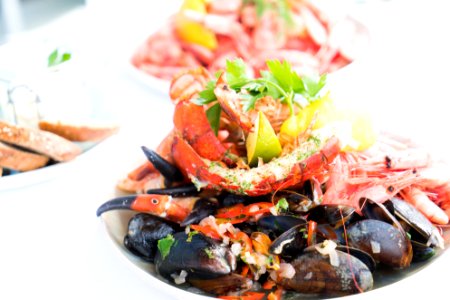 Appetizer Crab Cuisine