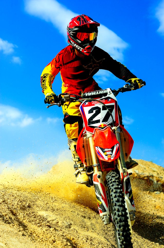 Action Active Adult