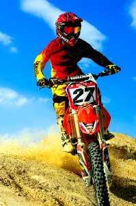 Action Active Adult