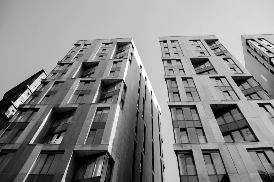 Architectural Design Black-and-white