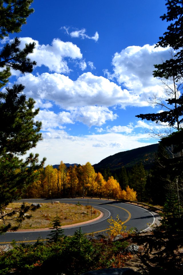 Blue Sky Countryside