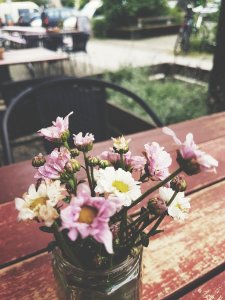 Beautiful Bloom Blooming