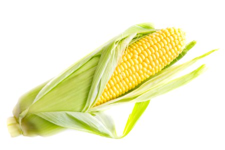 Agriculture Bright Cereal