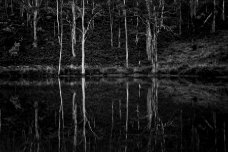Australia Black-and-white Cold