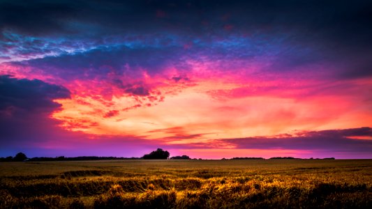 Backlit Beautiful Blue photo