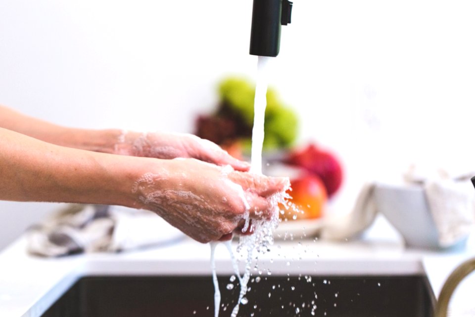 Cooking Hands Handwashing