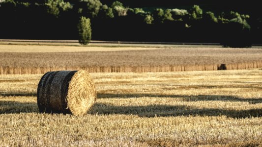 Agriculture Country Countryside photo