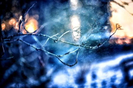 Bokeh Cold Freezing