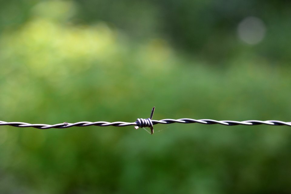 Barbed Wire Barrier photo