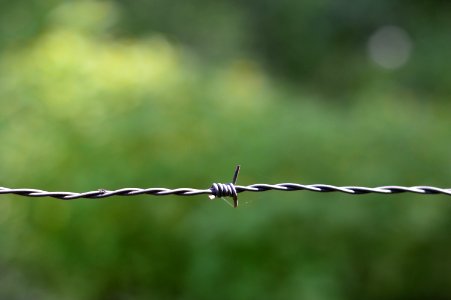 Barbed Wire Barrier