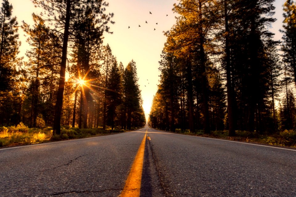 Adventure Asphalt California
