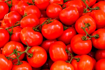 Abundance Agriculture Fresh