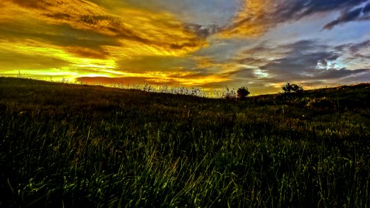 Agriculture Countryside Crop photo