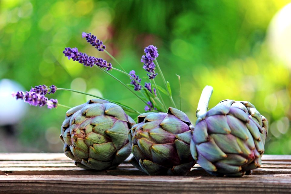 Artichokes Blur Bokeh